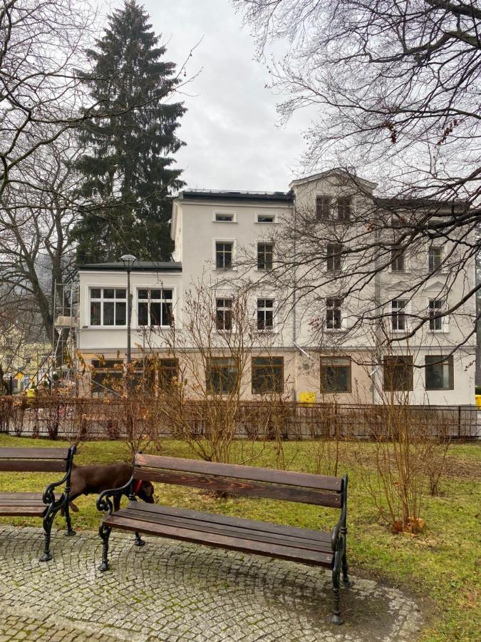 Cienista 7 Apartments Lądek-Zdrój Eksteriør billede