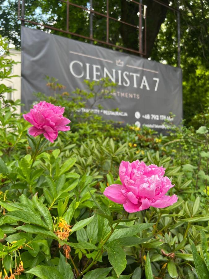 Cienista 7 Apartments Lądek-Zdrój Eksteriør billede