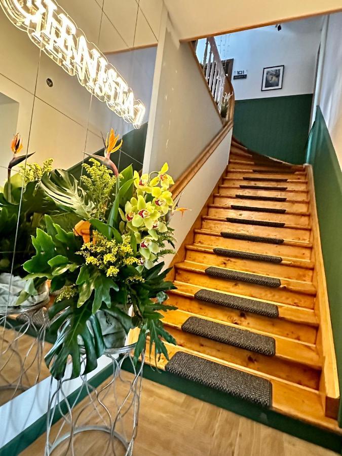 Cienista 7 Apartments Lądek-Zdrój Eksteriør billede