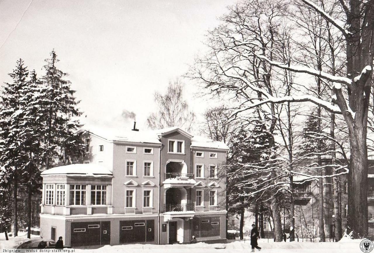Cienista 7 Apartments Lądek-Zdrój Eksteriør billede